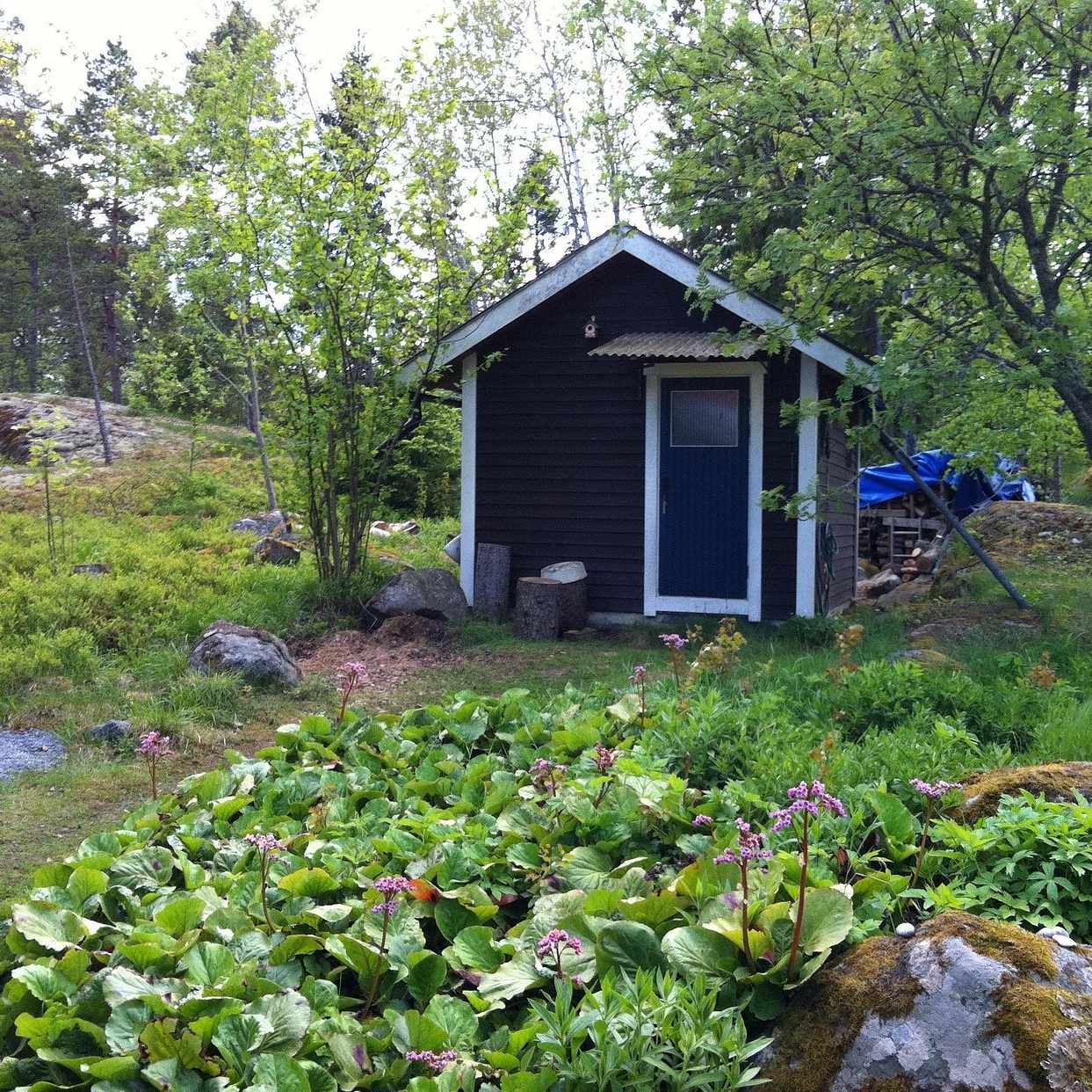 image of Bortforsling - Väddö