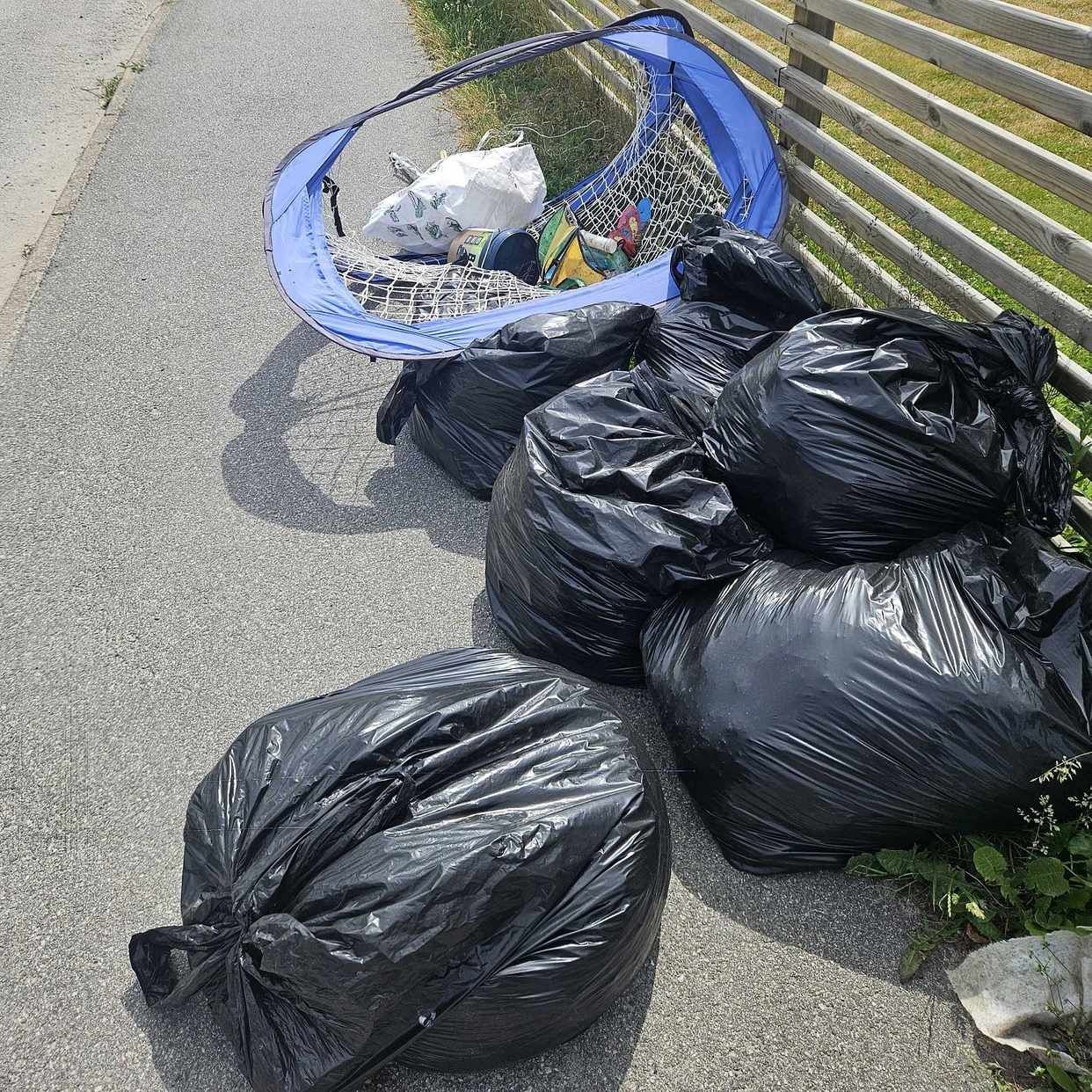 image of Att slängas eller behålla - Segeltorp