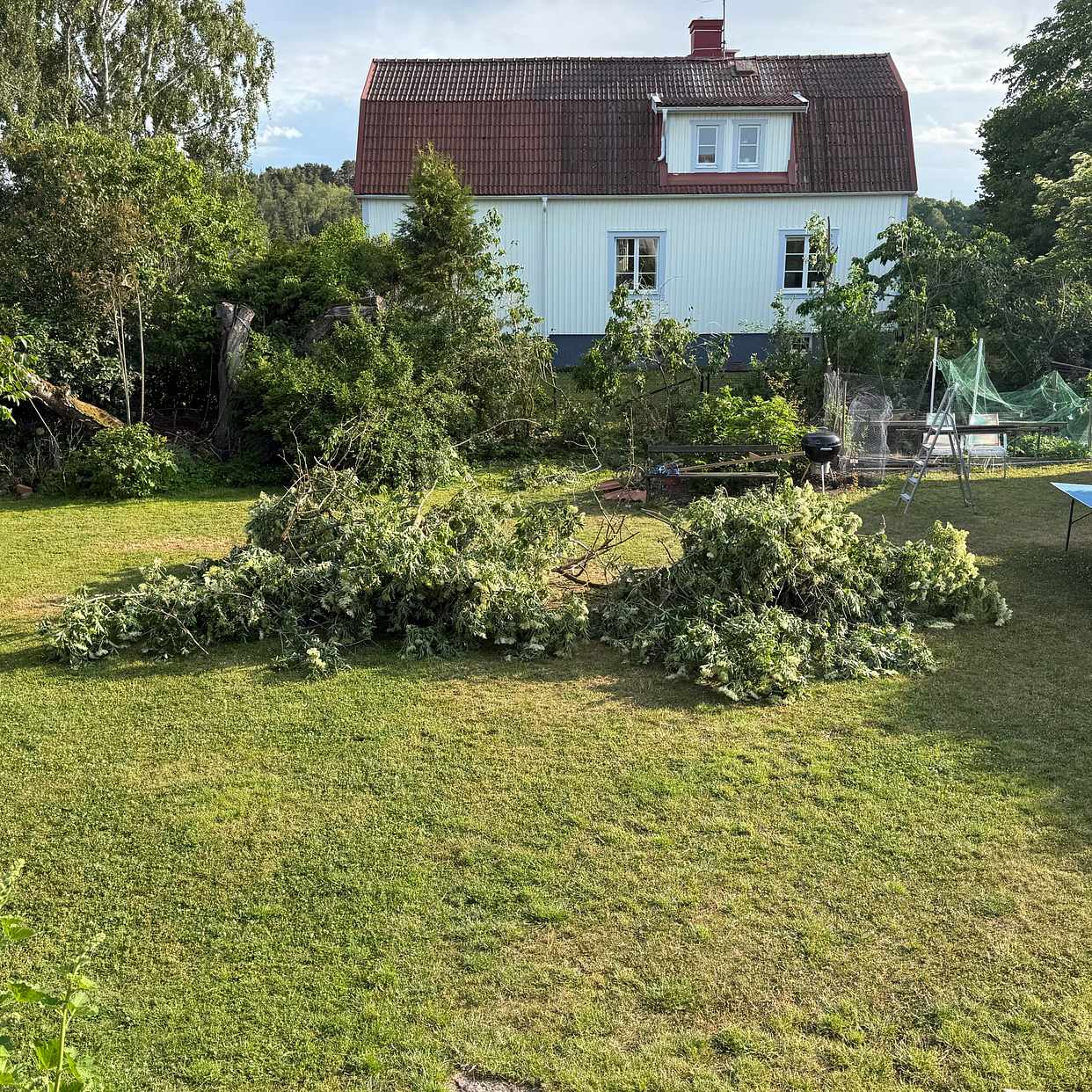 image of Nerhugget träd, slängas. - Danderyd