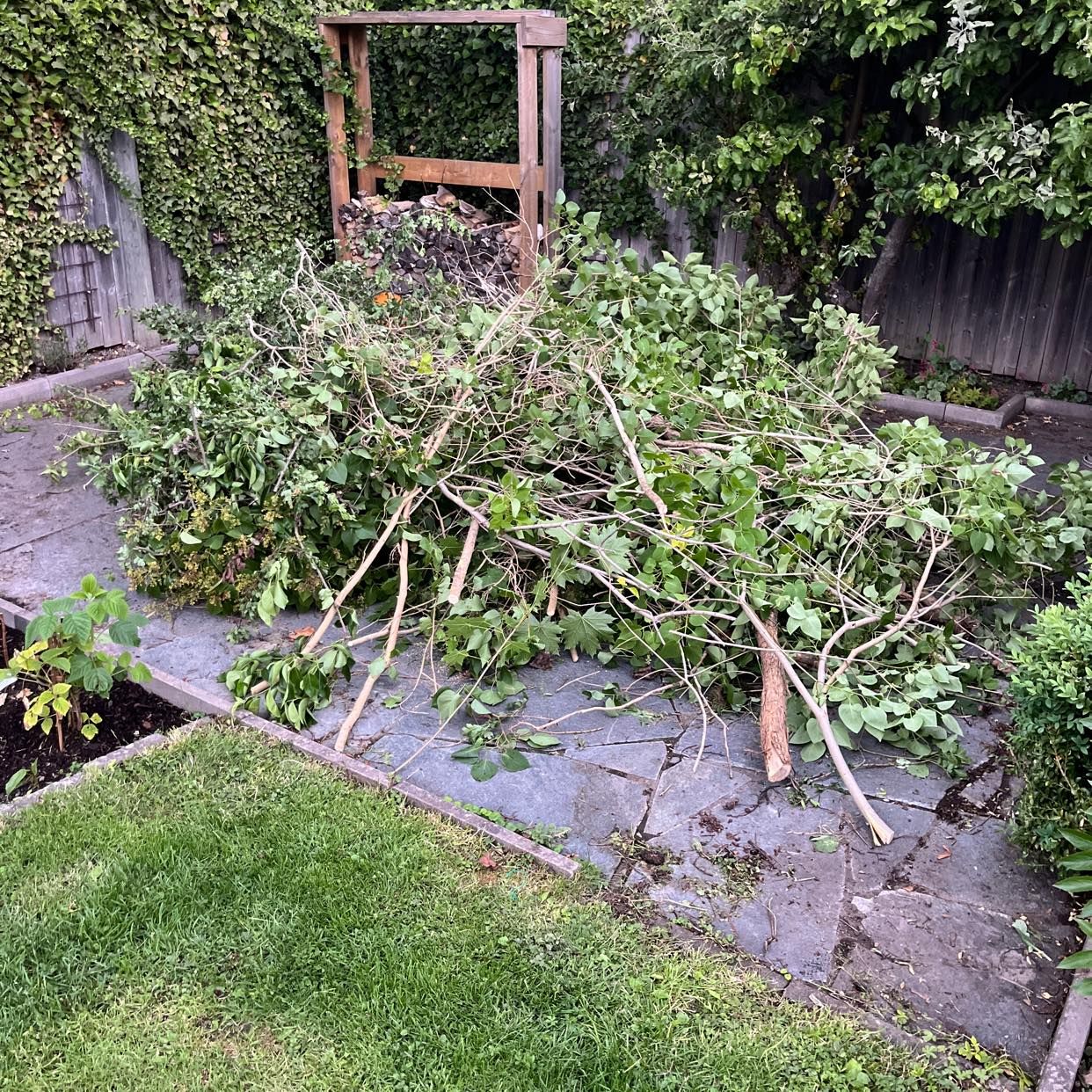 image of Tree branches removed - Lidingö
