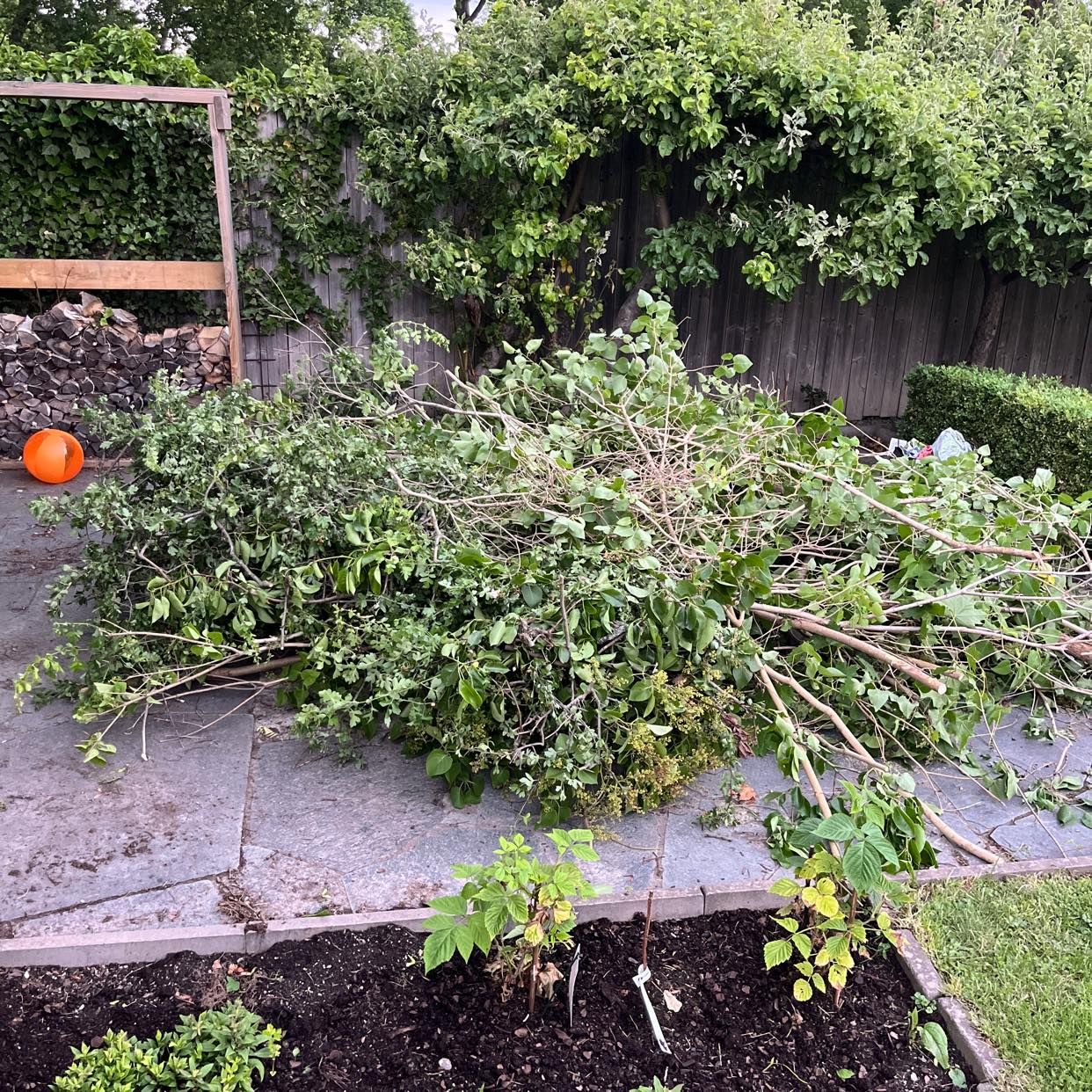 image of Tree branches removed - Lidingö