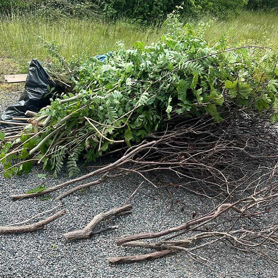 image of Trädgårdsavfall och skräp - Roslags-Kulla Och Ljusterö