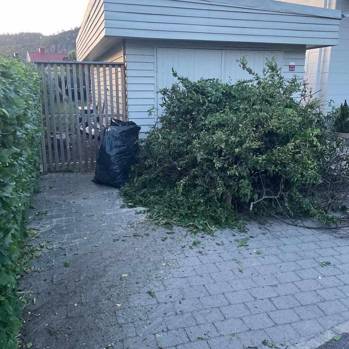 image of Grenar, blad, div - Göteborg