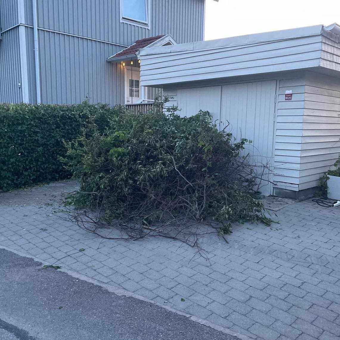 image of Grenar, blad, div - Göteborg