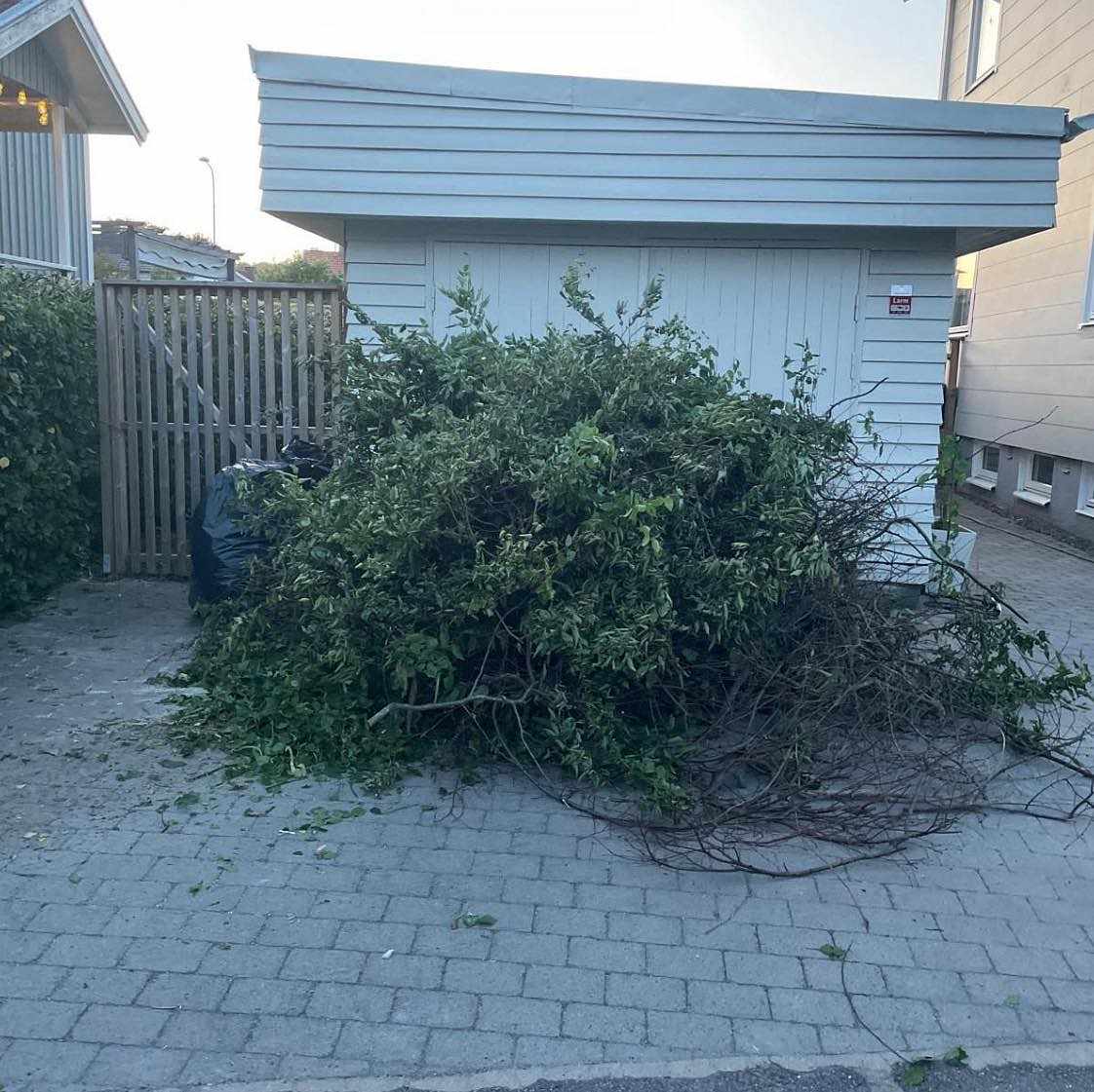 image of Grenar, blad, div - Göteborg