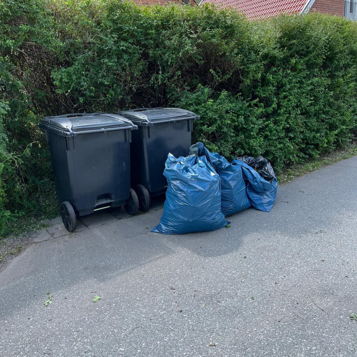 image of Häckklipp - Kungsängen