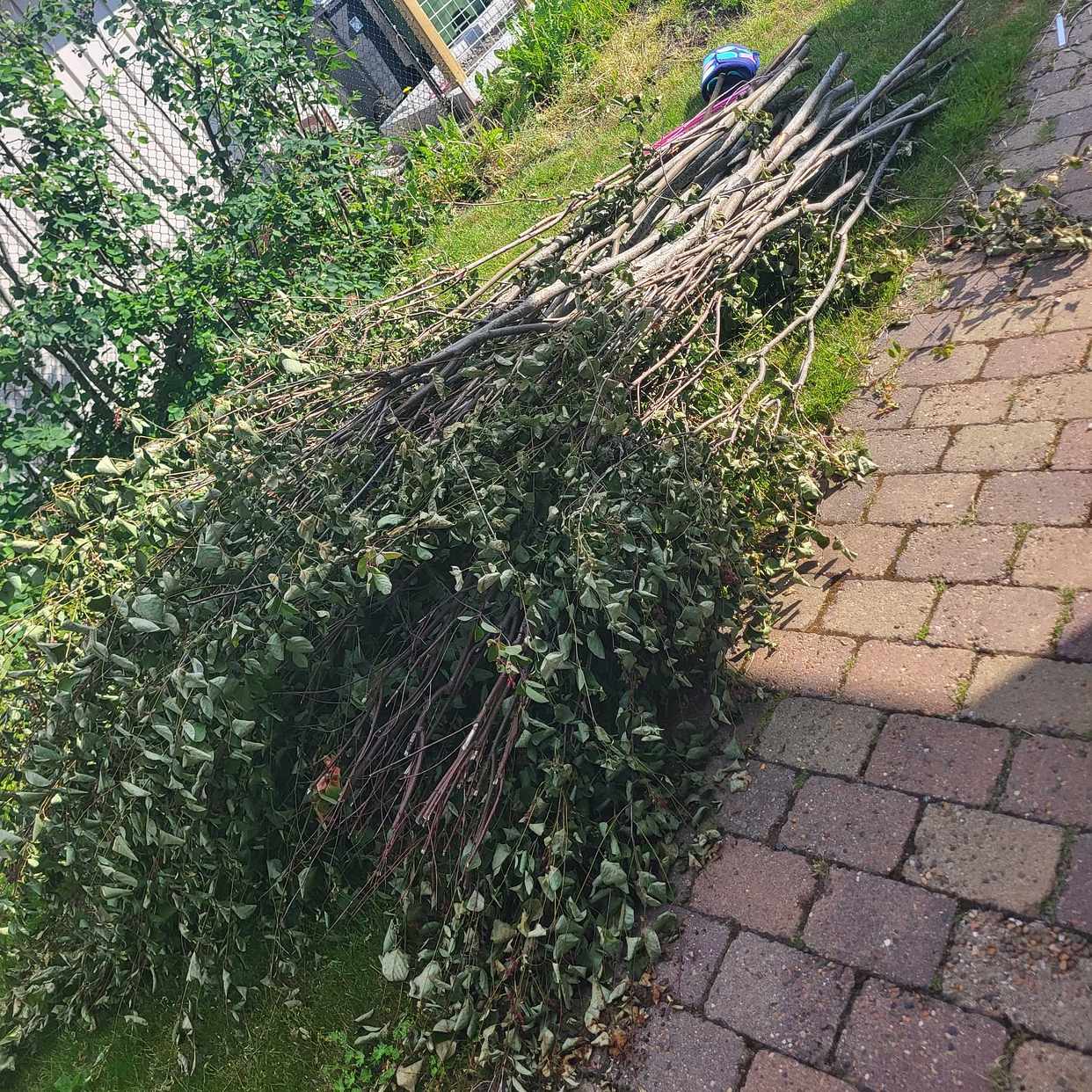 Trädgårdsavfall till ÅVC