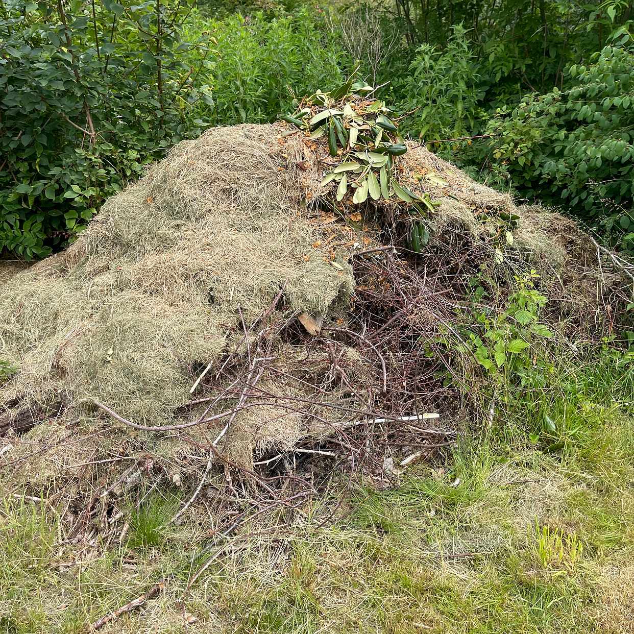 image of Bortforsling - Svanesund