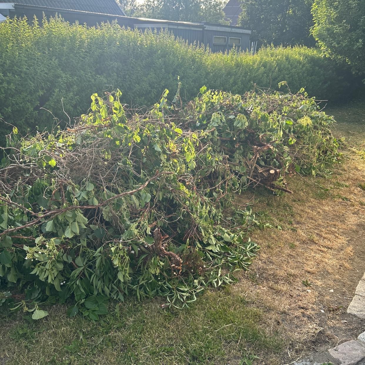 image of Slänga trädgårdsavfall - Tyresö