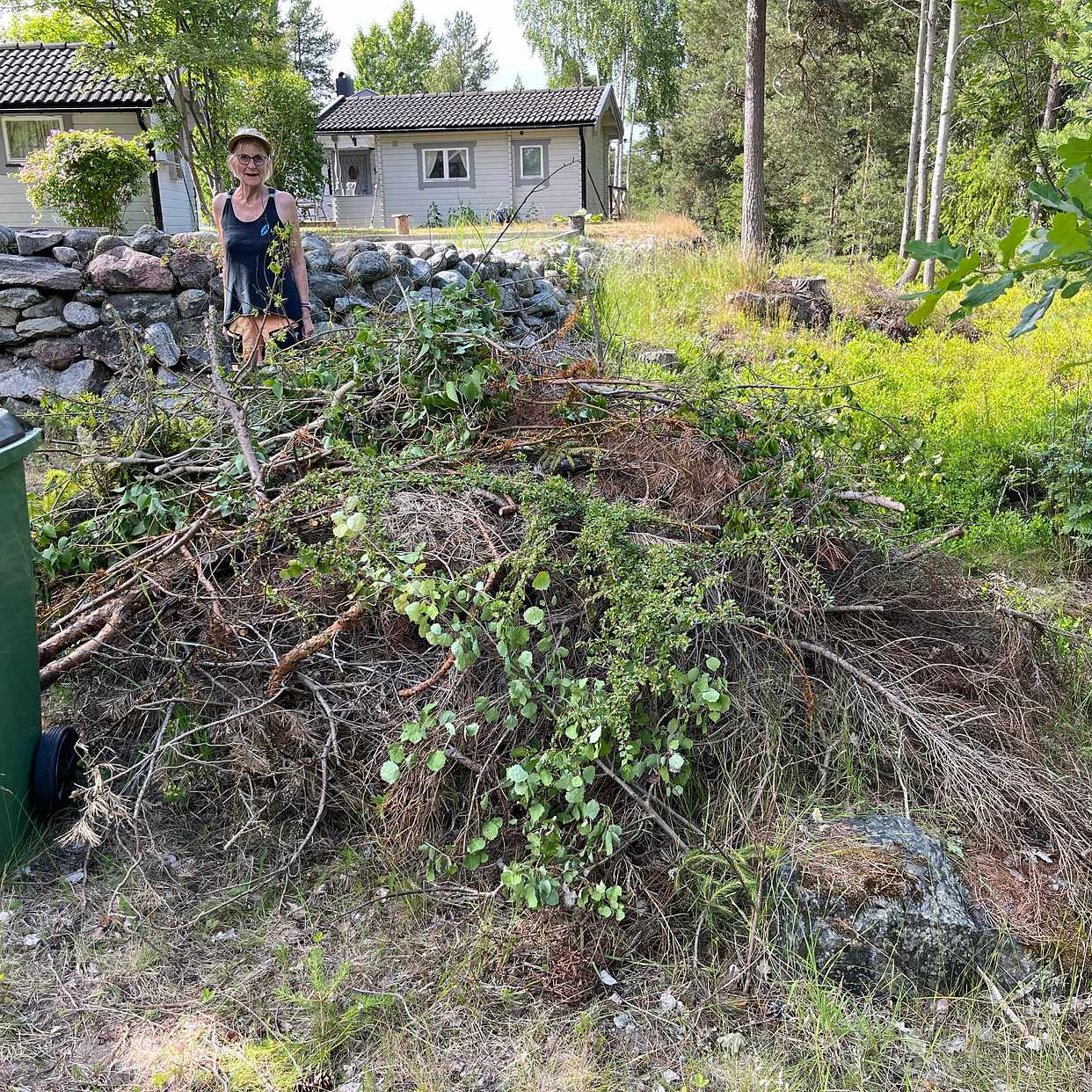 image of kvistar och ris - Dalarö