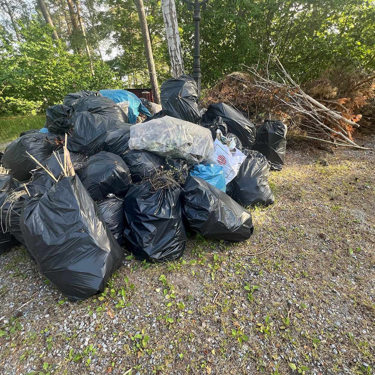 image of Garden waste - Drottningholm