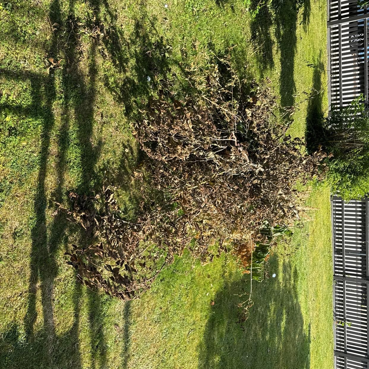 image of Trädgårdsavfall - Åkarp