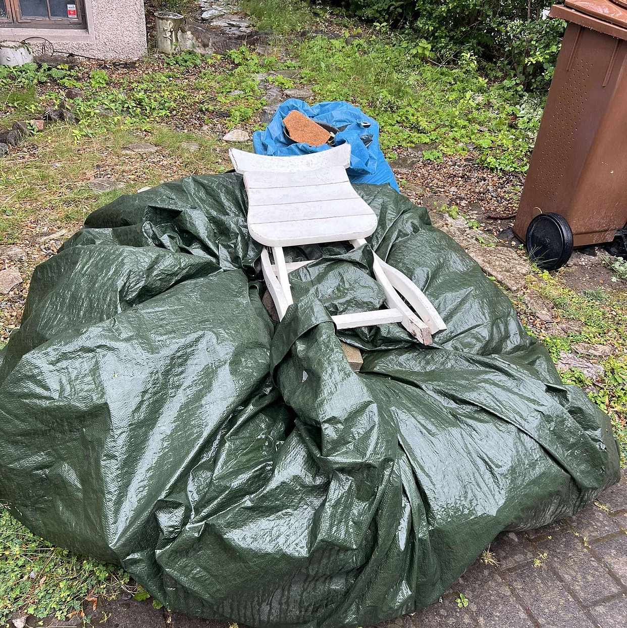 image of Mest kvistar och löv - Enskede