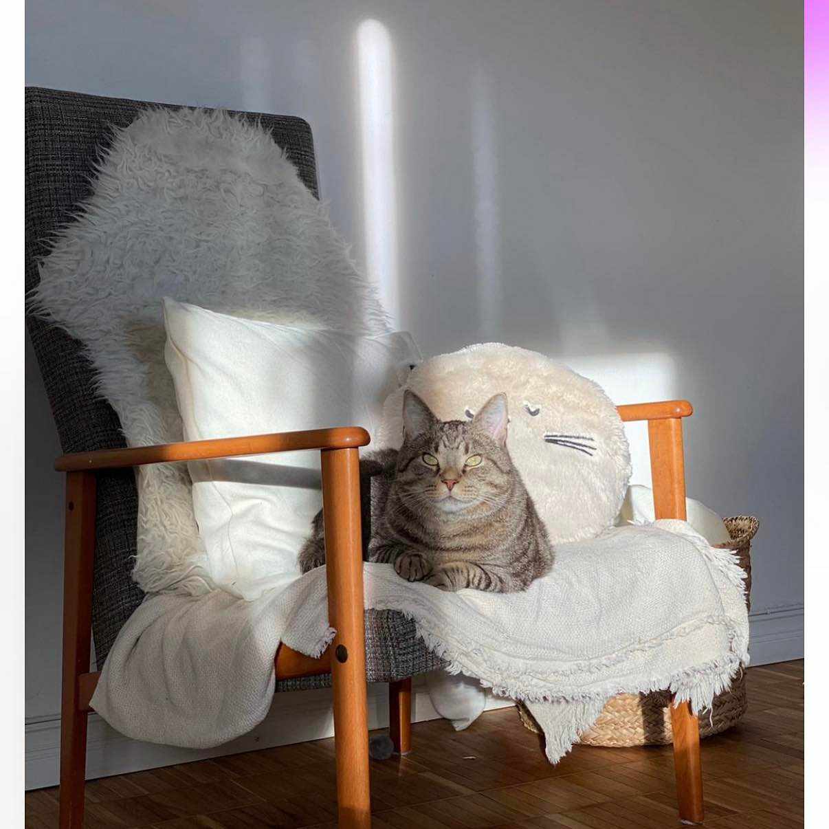 image of 3 möbler, ej tungt - 