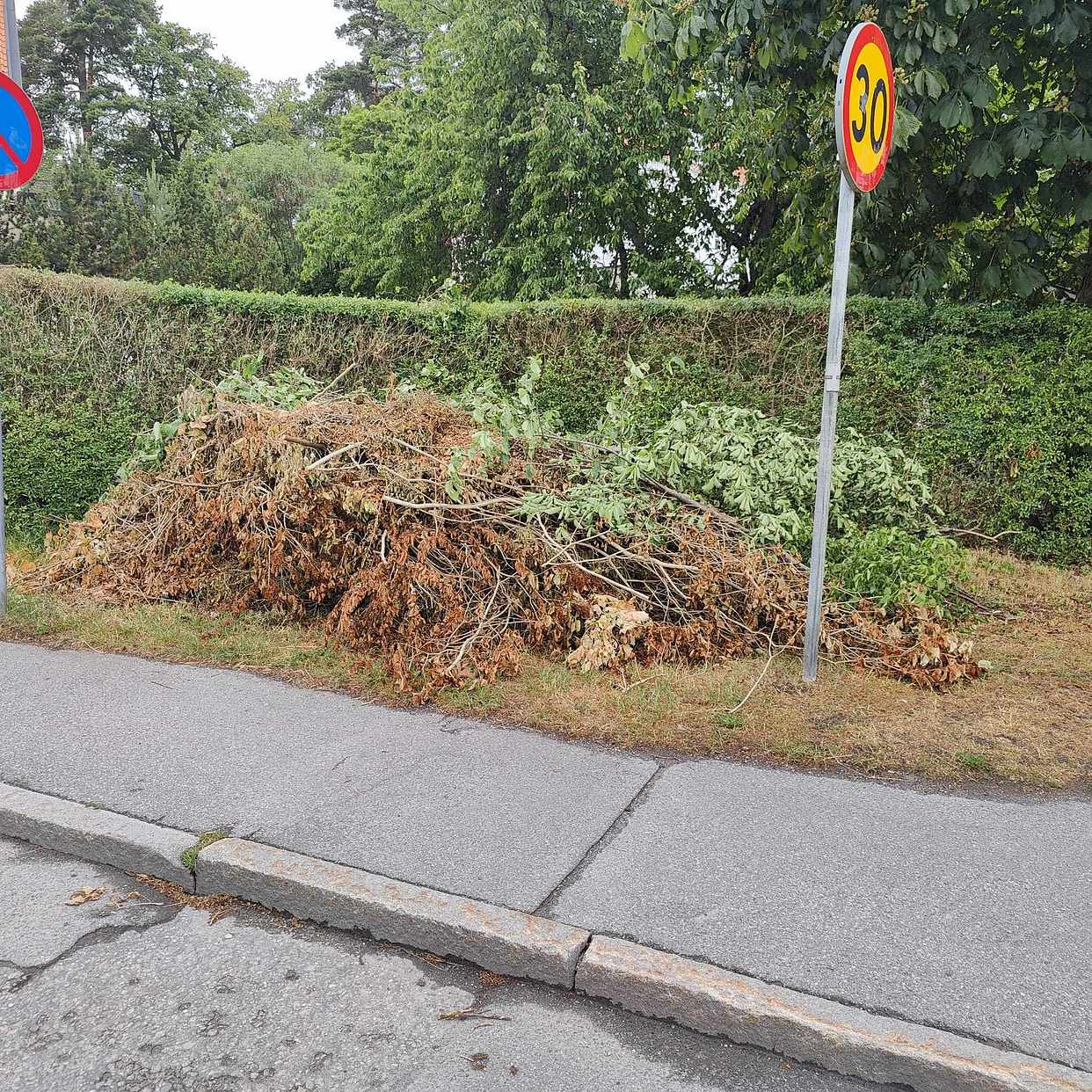 image of Trädgårdsavfall - Bromma