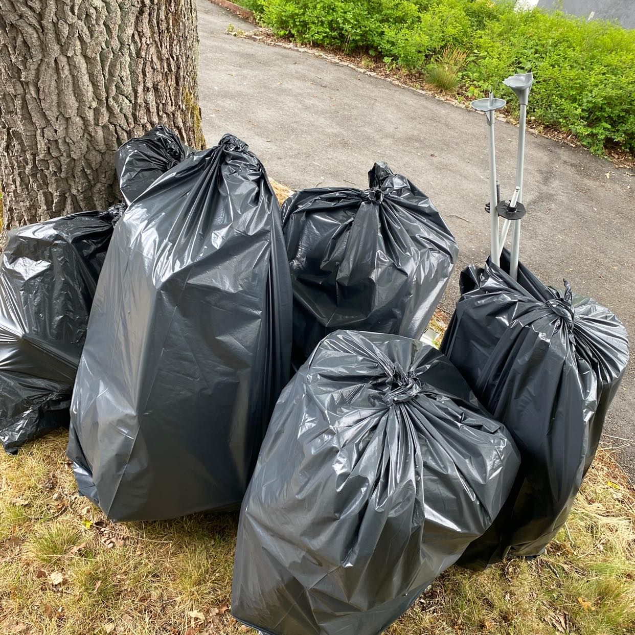 image of Trash bags - Danderyd