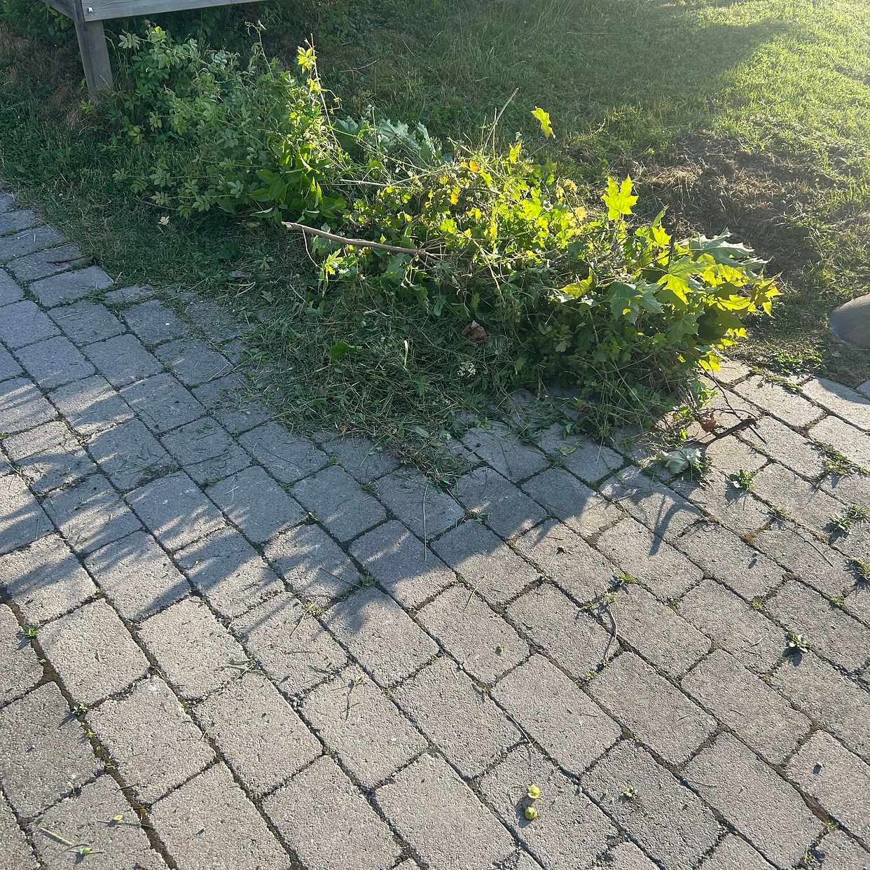 image of Trä, grenar lampa - Huddinge