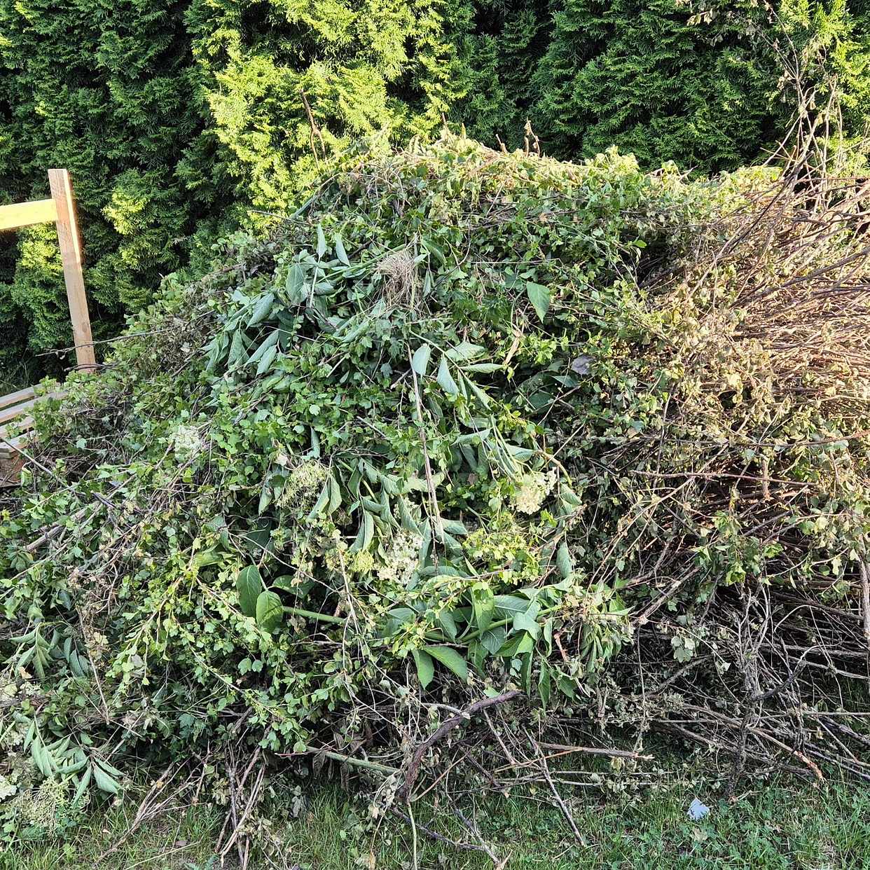 image of Garden waste & cardboard - Vällingby