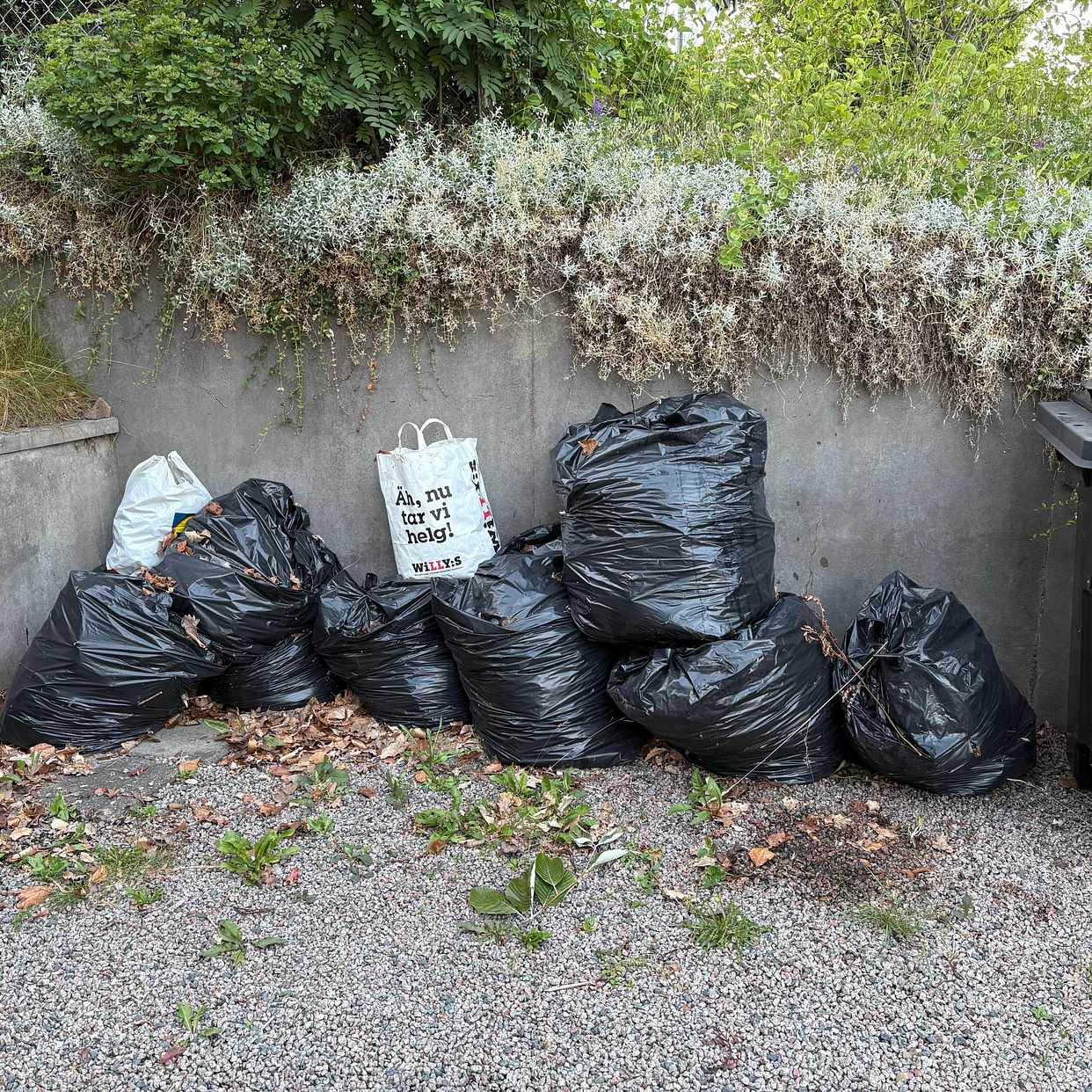 image of 11 säckar trädgårdsavfall - Växjö
