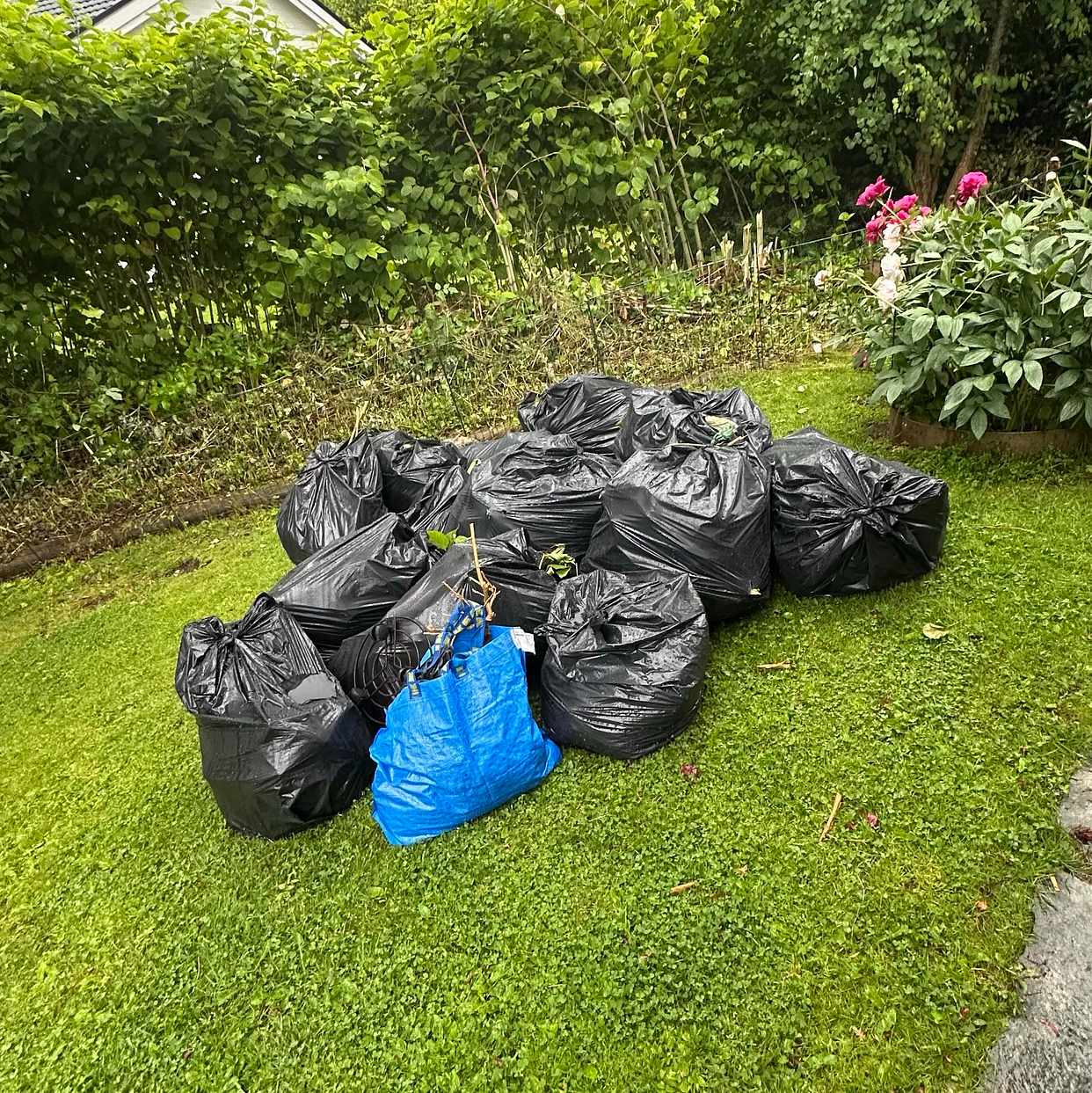 image of Trädgårdsavfall i påsar - Hovås