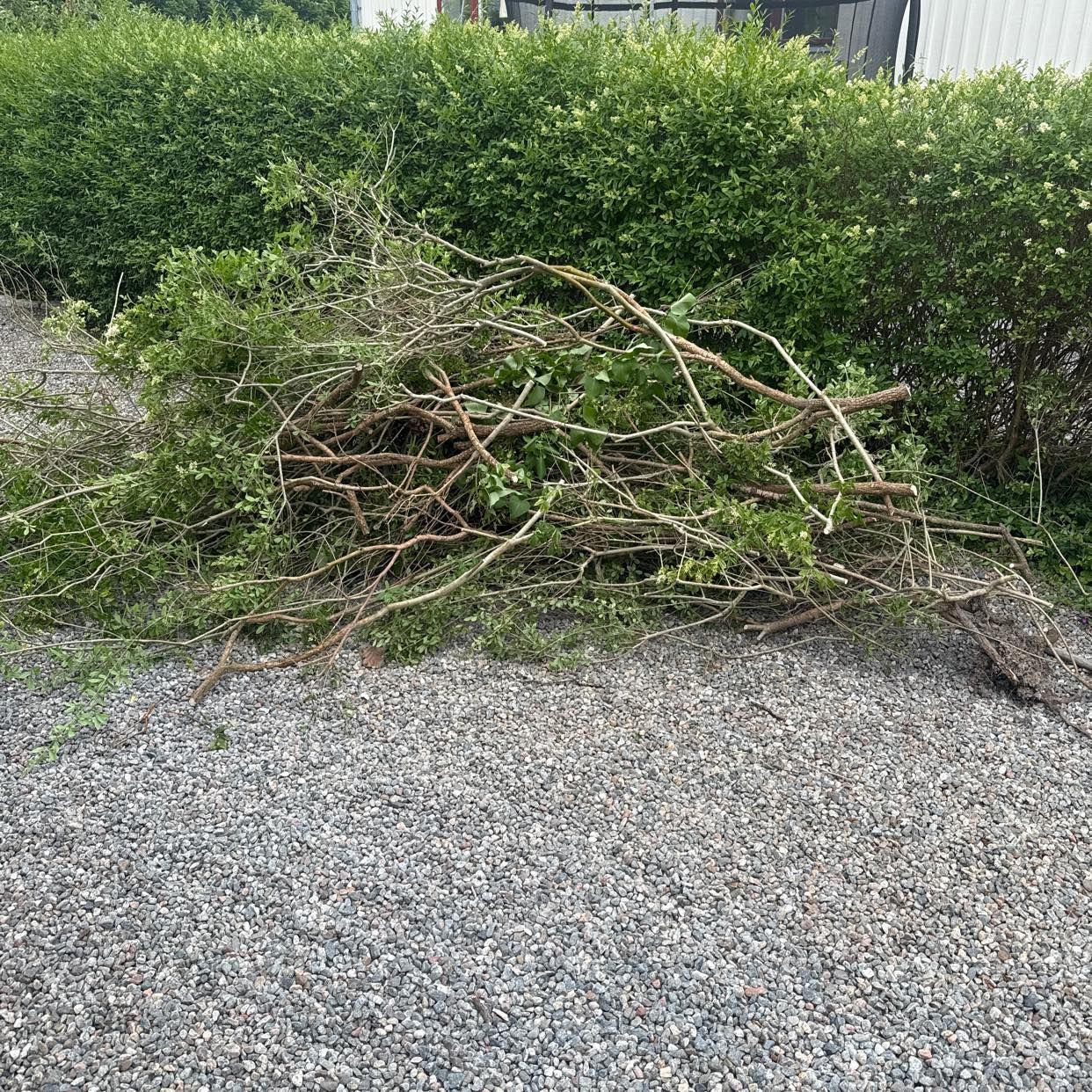 image of Trädgårdsavfall och cykel - Enskede