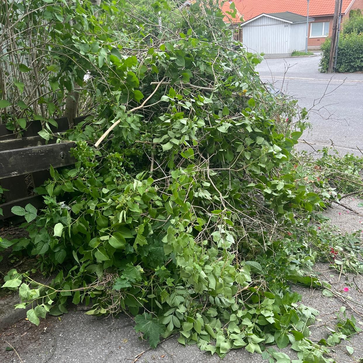 image of Hämta ris - Hässelby-Vällingby