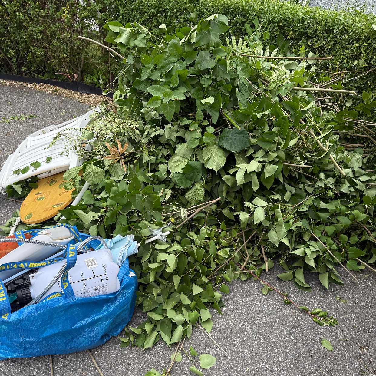 image of Buskar och lite blandat - Solna