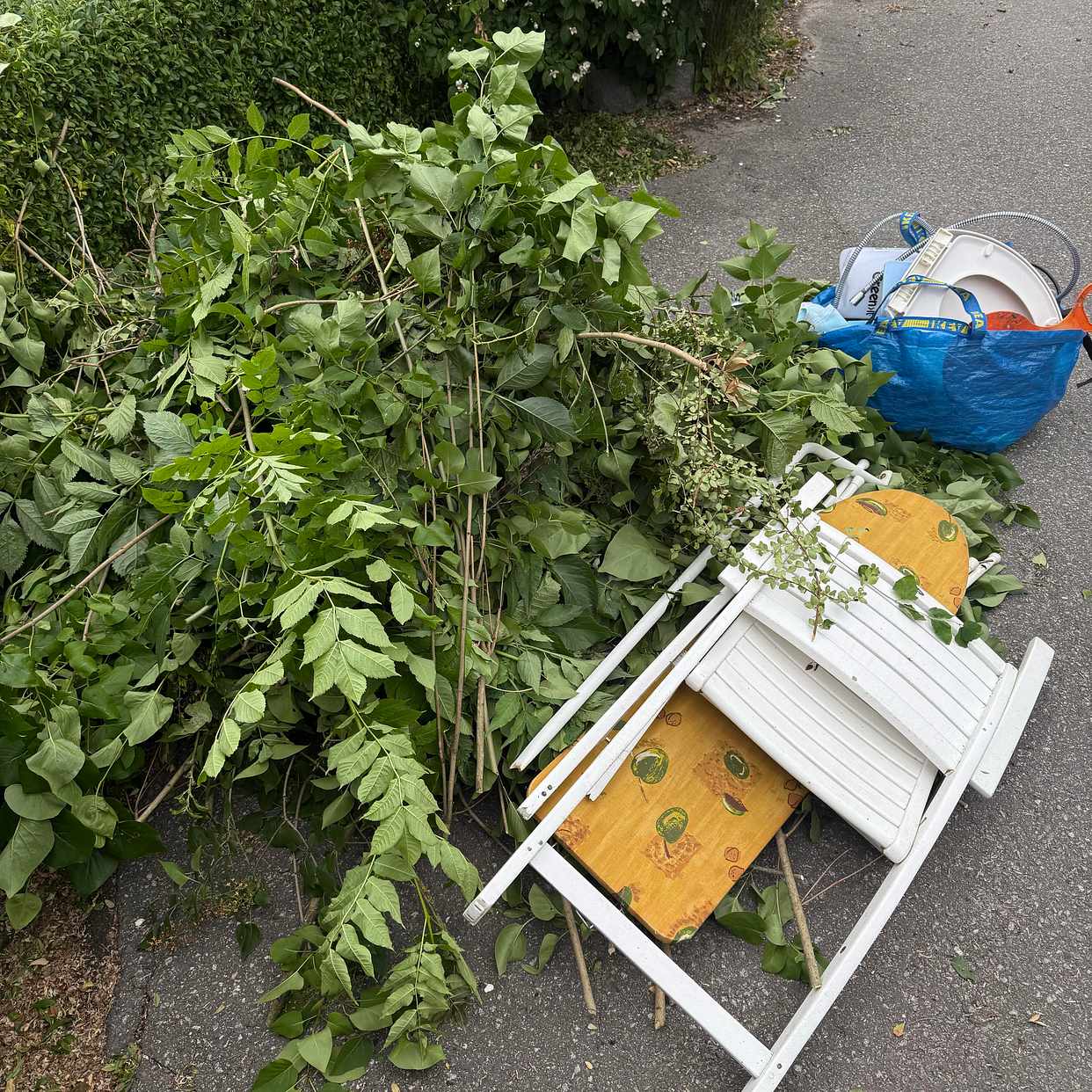 image of Buskar och lite blandat - Solna