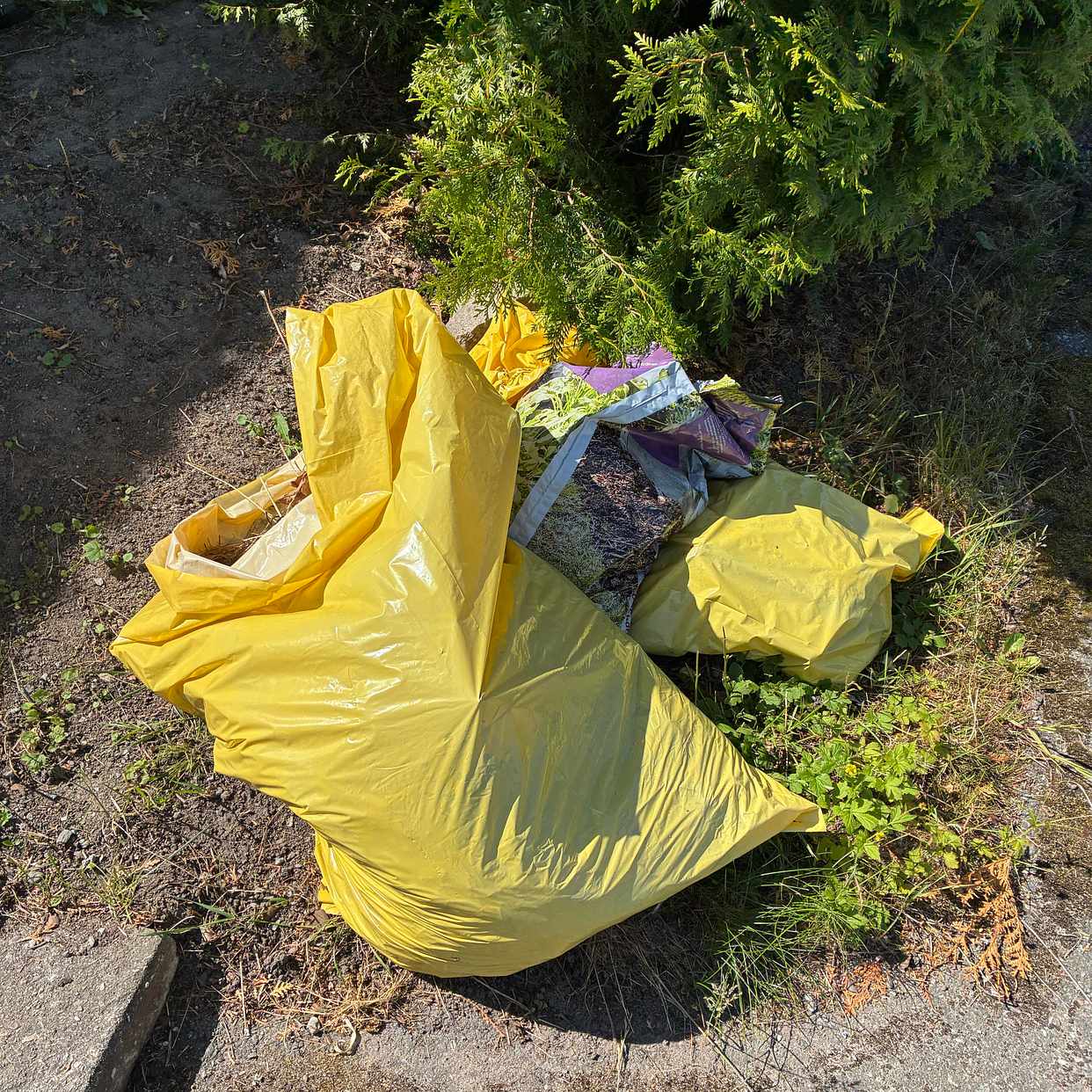 image of Blandat trädgårdsavfall - Upplands Väsby