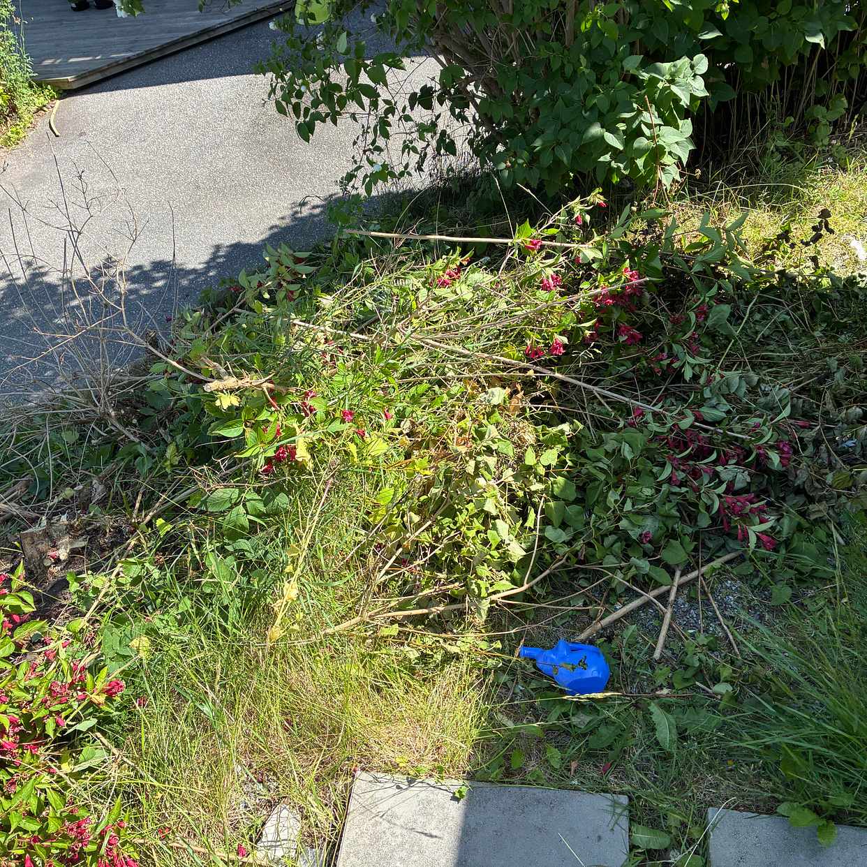 image of Blandat trädgårdsavfall - Upplands Väsby