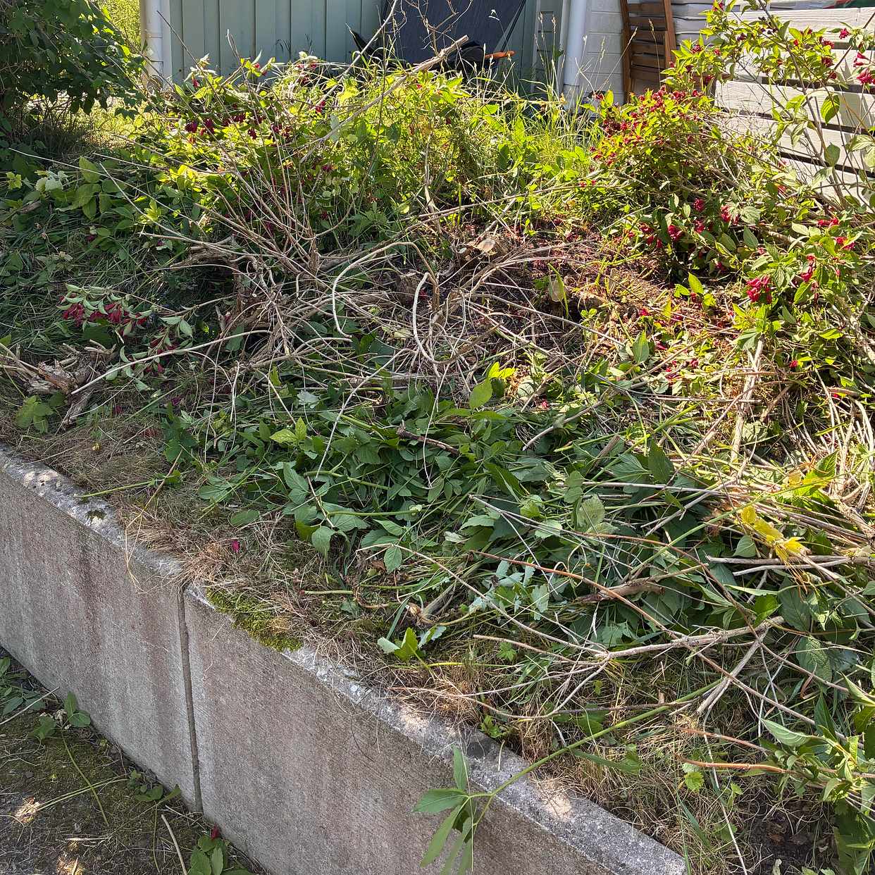 image of Blandat trädgårdsavfall - Upplands Väsby
