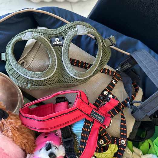 image of Giveaway dog things - Sollentuna