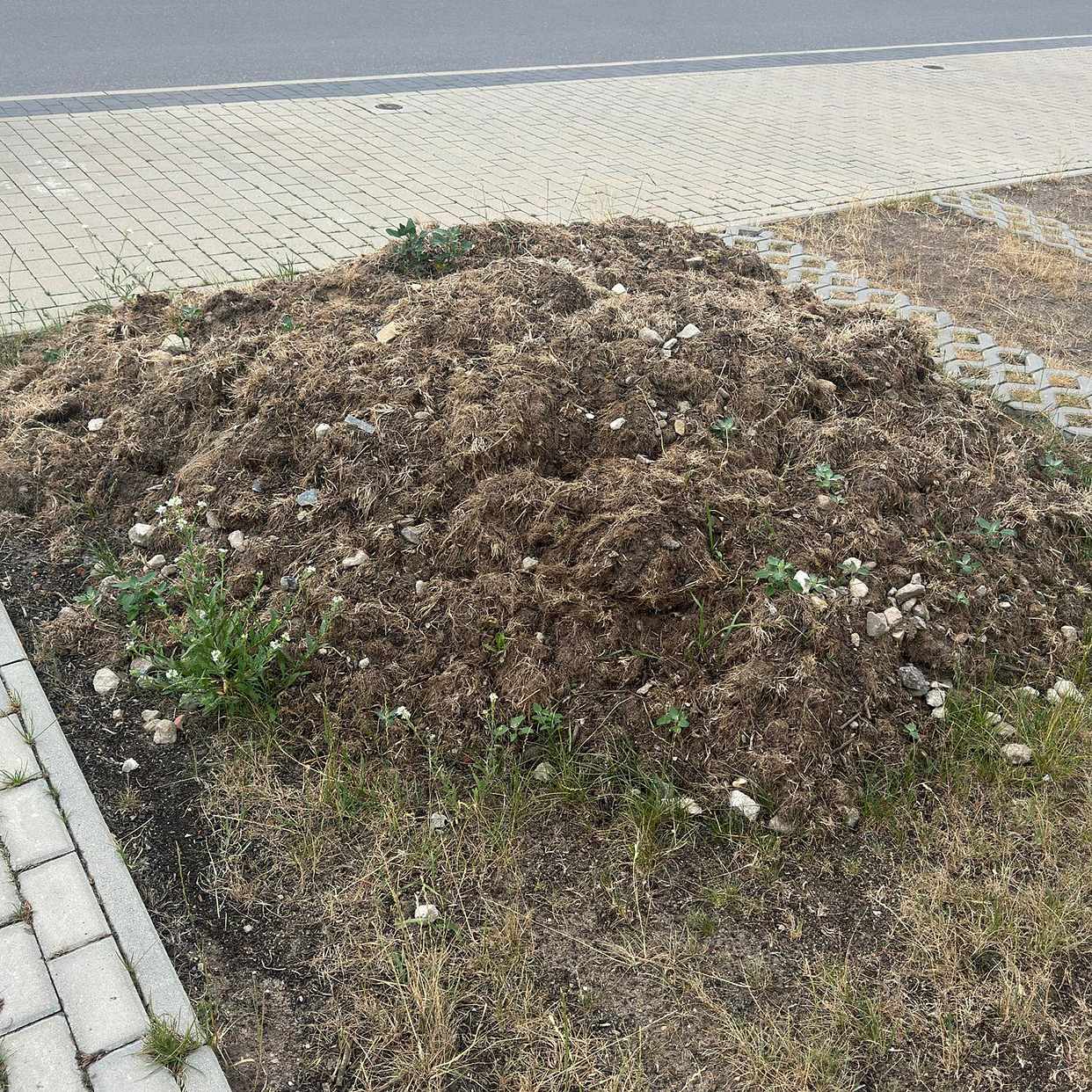 image of Garden waste - Ludwigsfelde