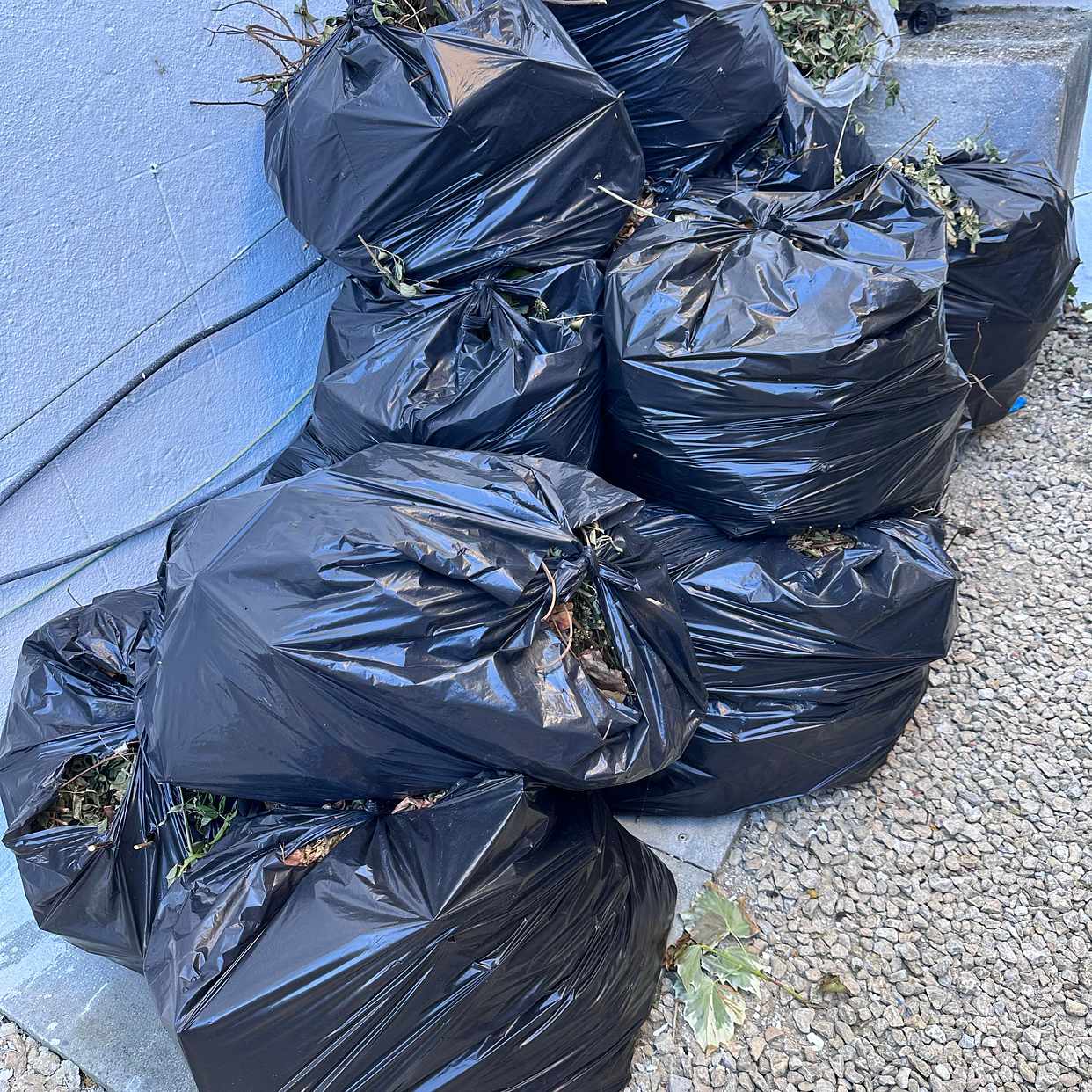 image of Garden waste - Lambeth