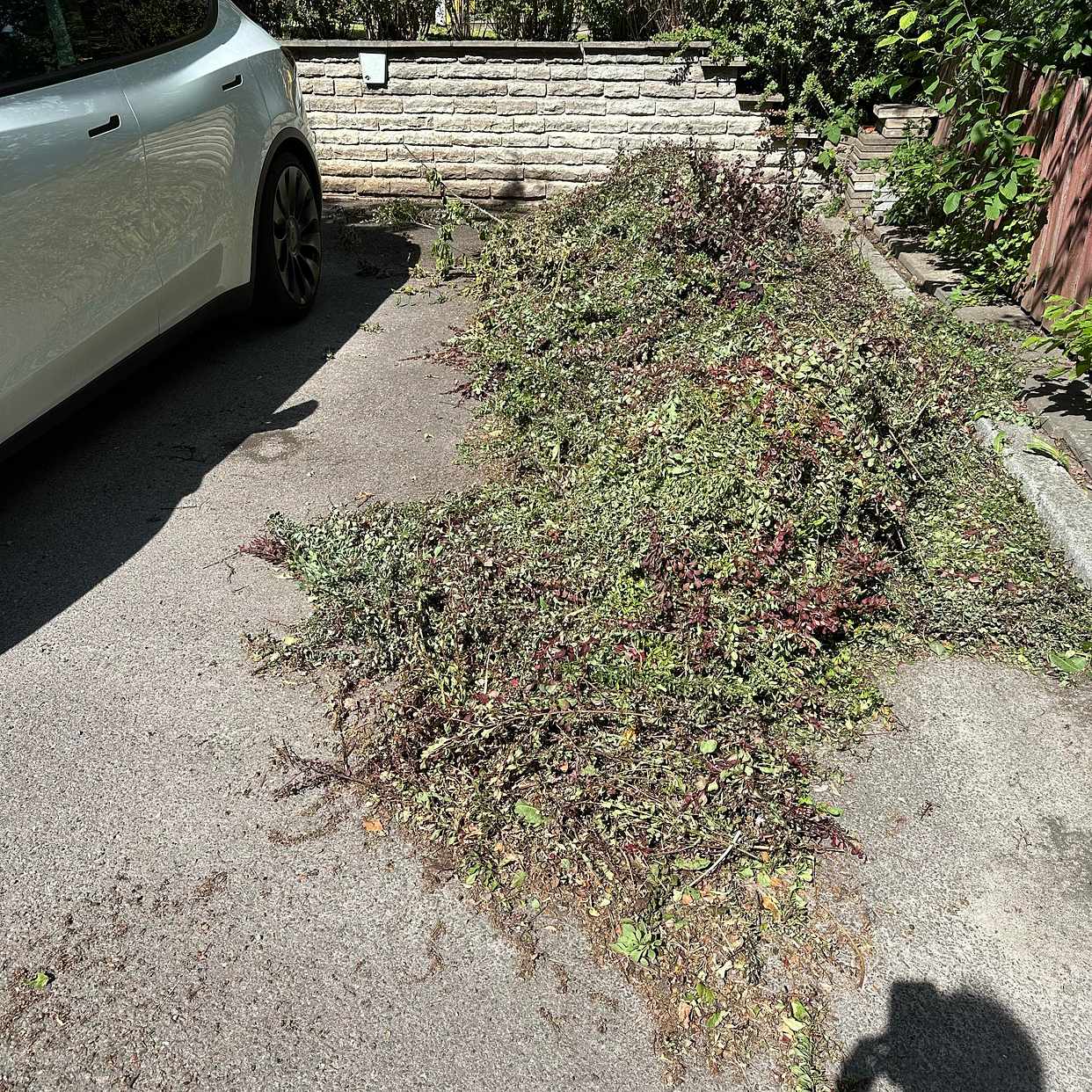 image of Hämta trädgårdsavfall - Upplands Väsby