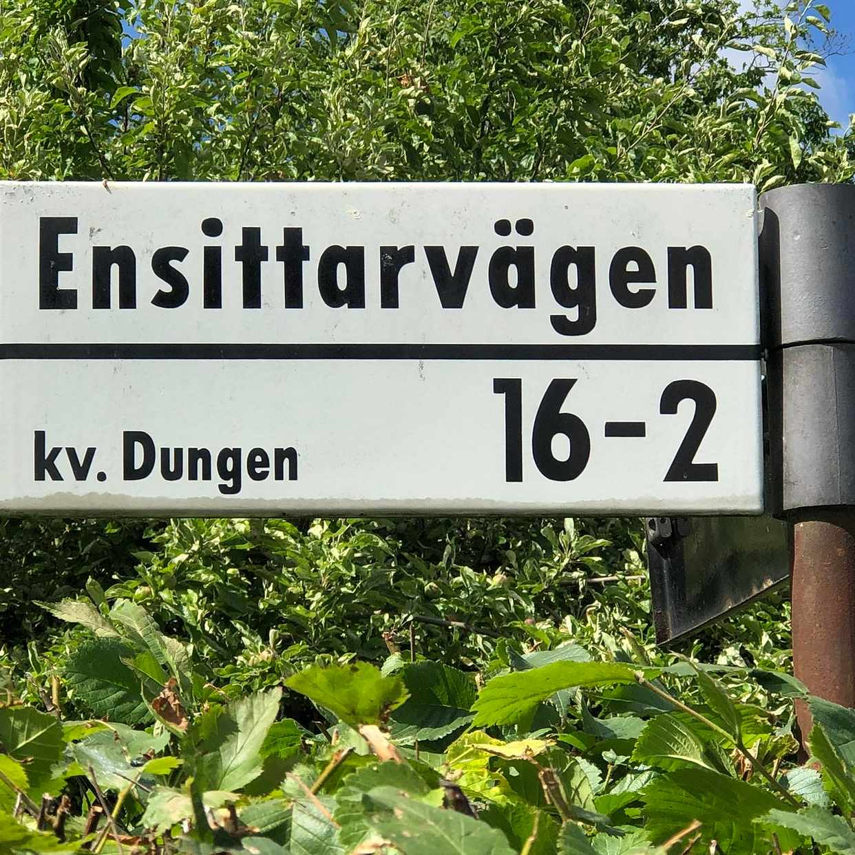 image of Taggar på buskarna - Stockholm