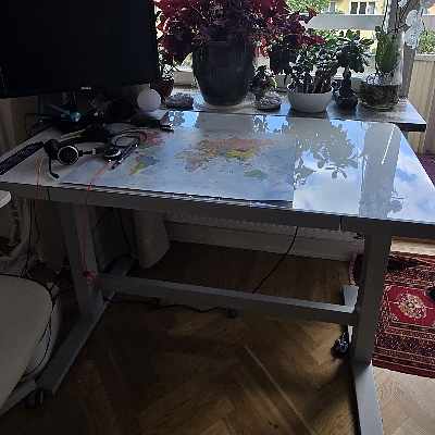 image of Skrivbord med växter, - 