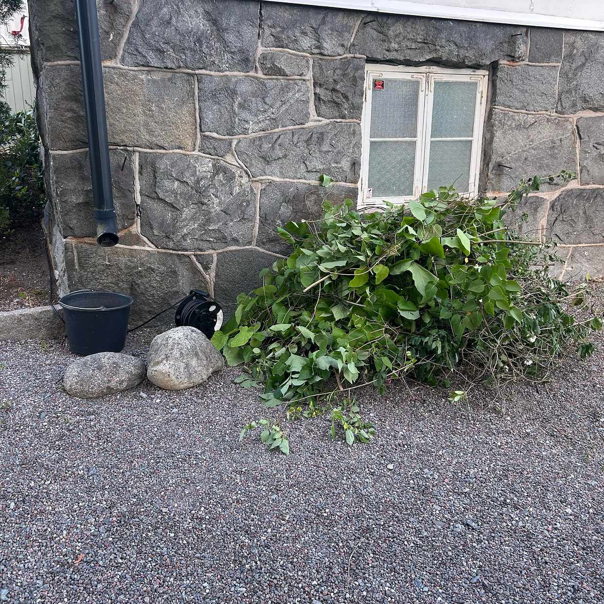 image of Grenar, kvistar, löv. - Stocksund