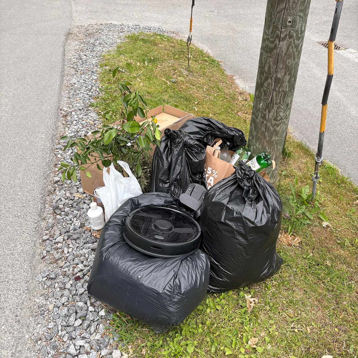 image of Dammsugare, wellpapp, löv - Saltsjö-Boo
