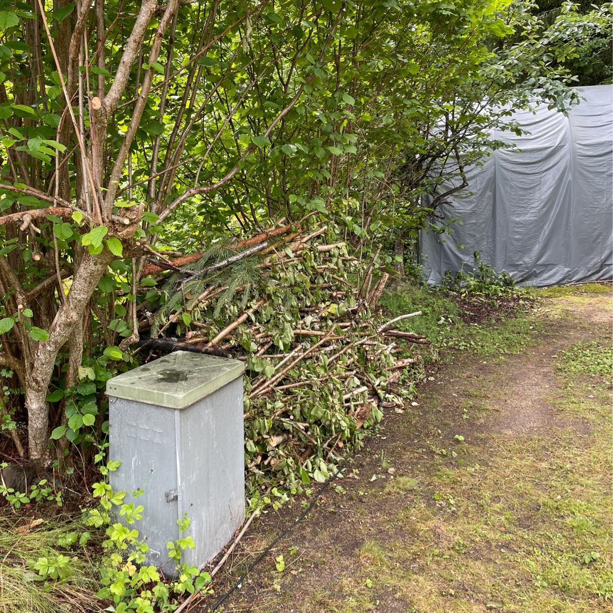 image of Lättpackade grenar - Värmdö