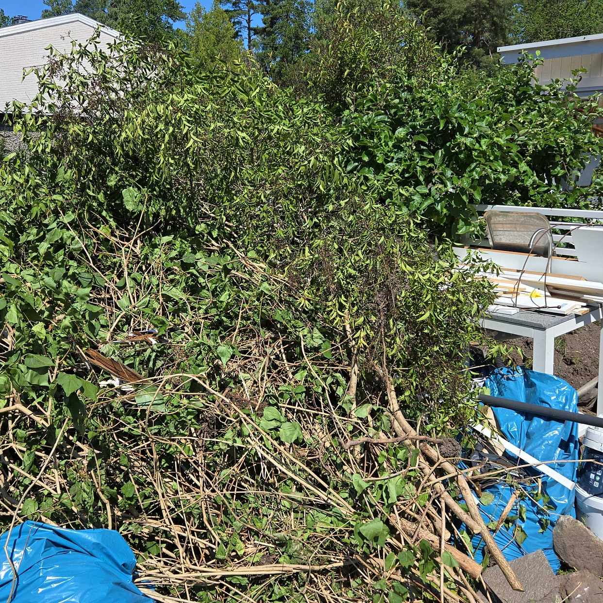 image of Hämta jord och trädgrenar - Järfälla