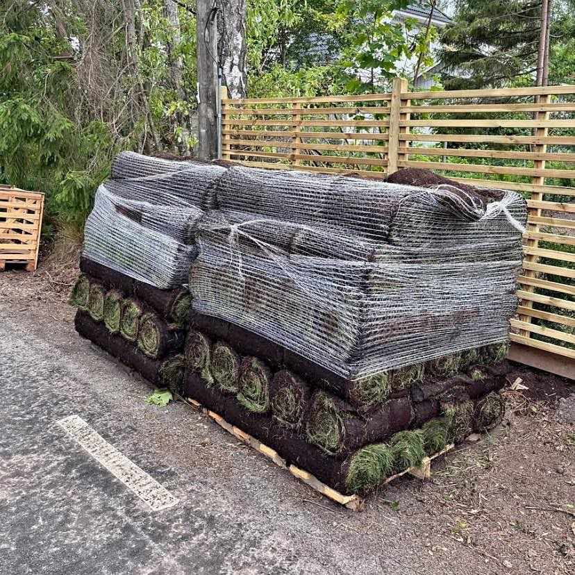 image of Jag har köpt gräsrullar - 