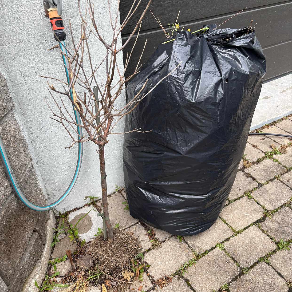 image of Garden waste - Österåker-Östra Ryds