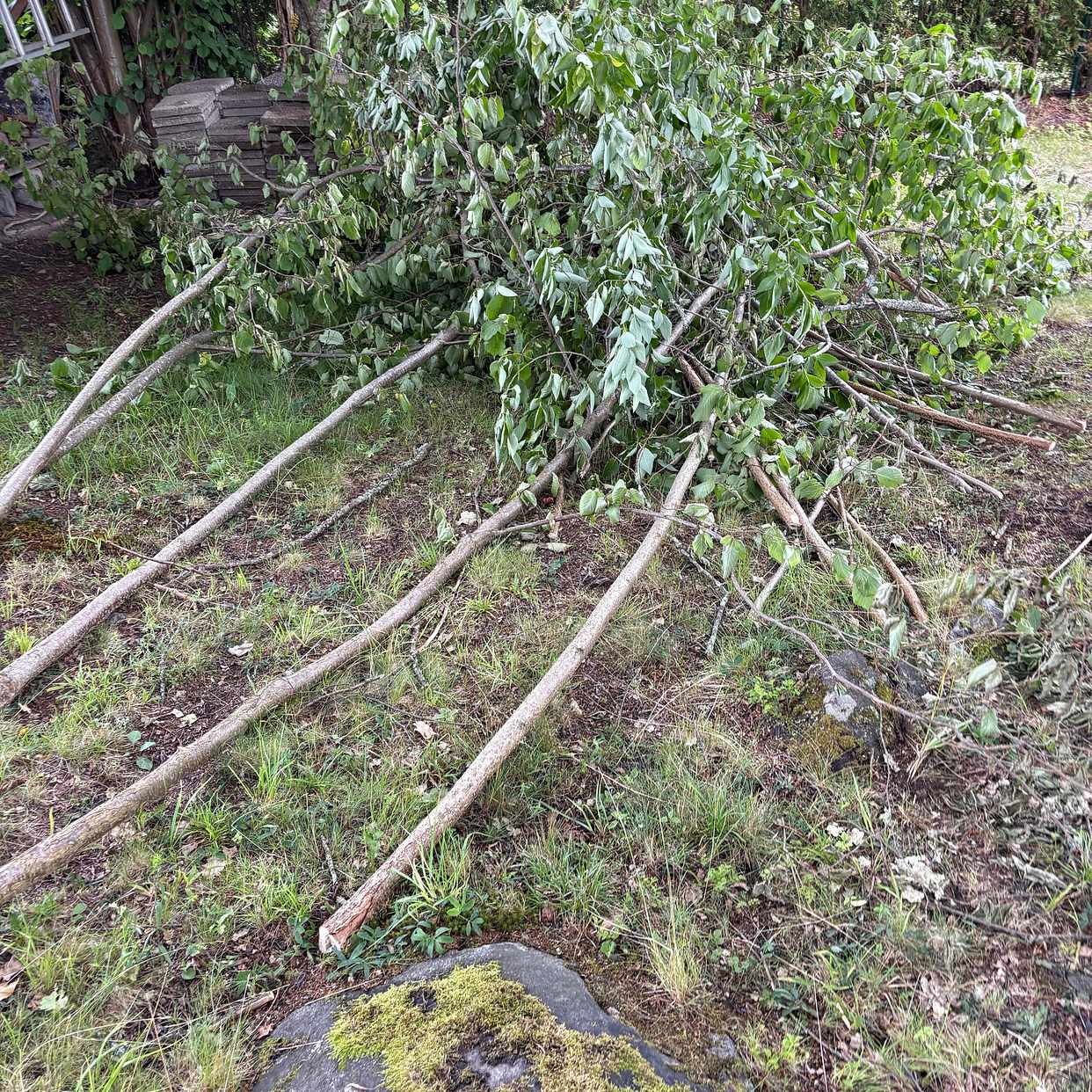 image of Återvinning - Södertälje
