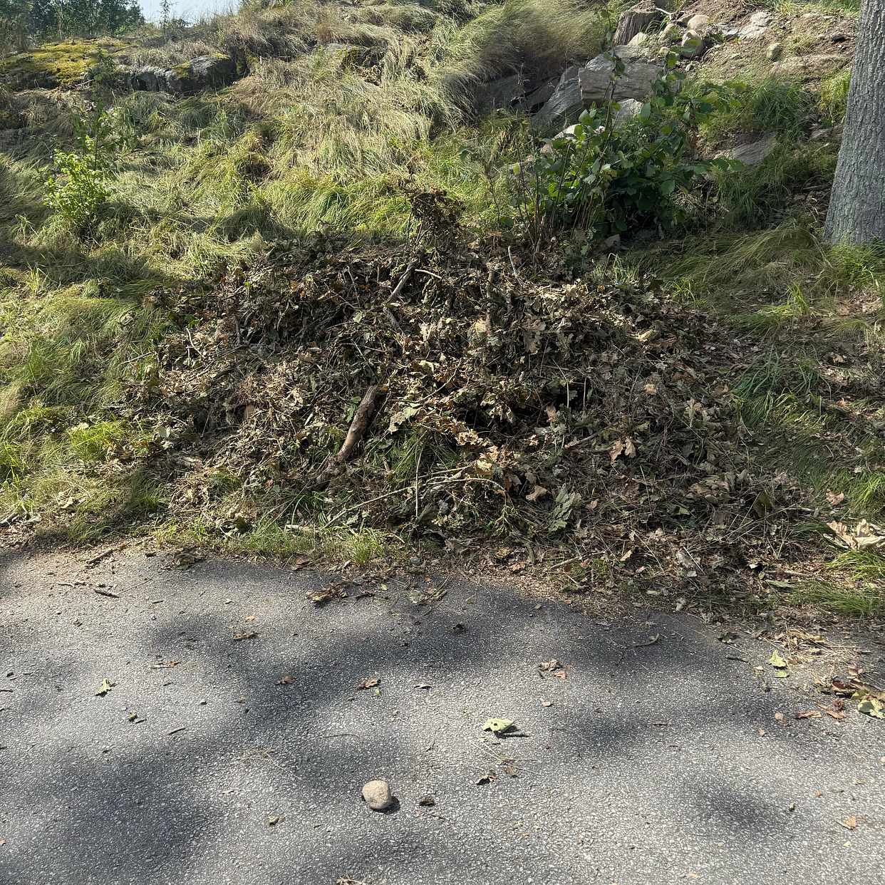 image of Slänga blandat skräp - Landvetter