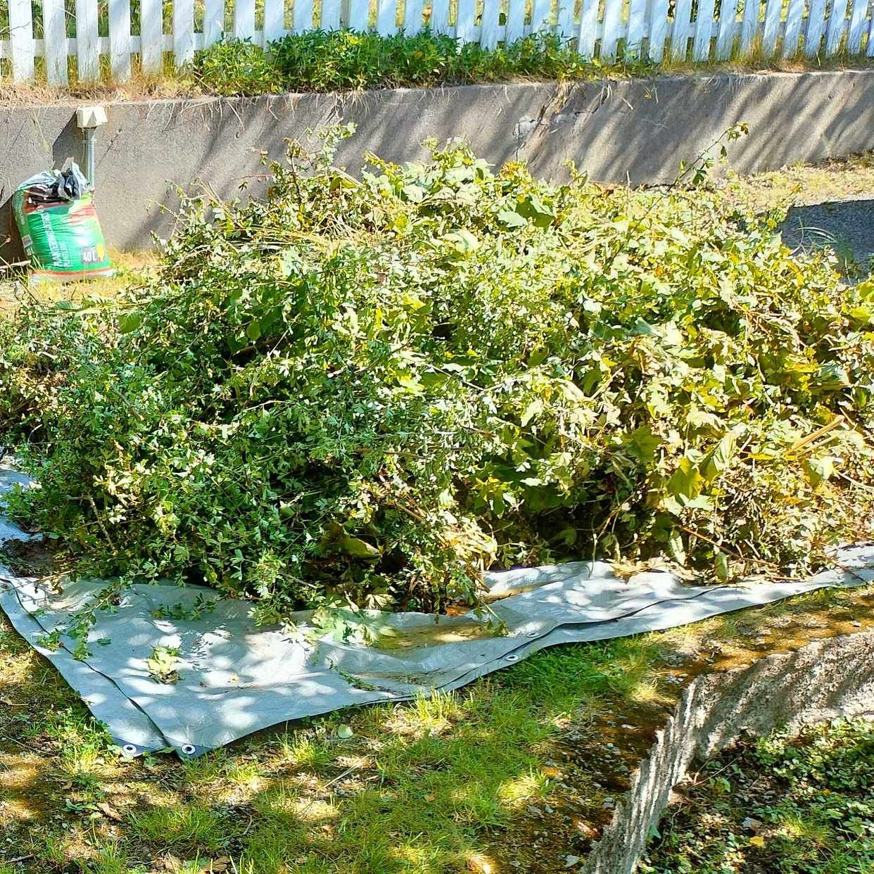 image of Trädgårdsavfall, ris osv - Spånga