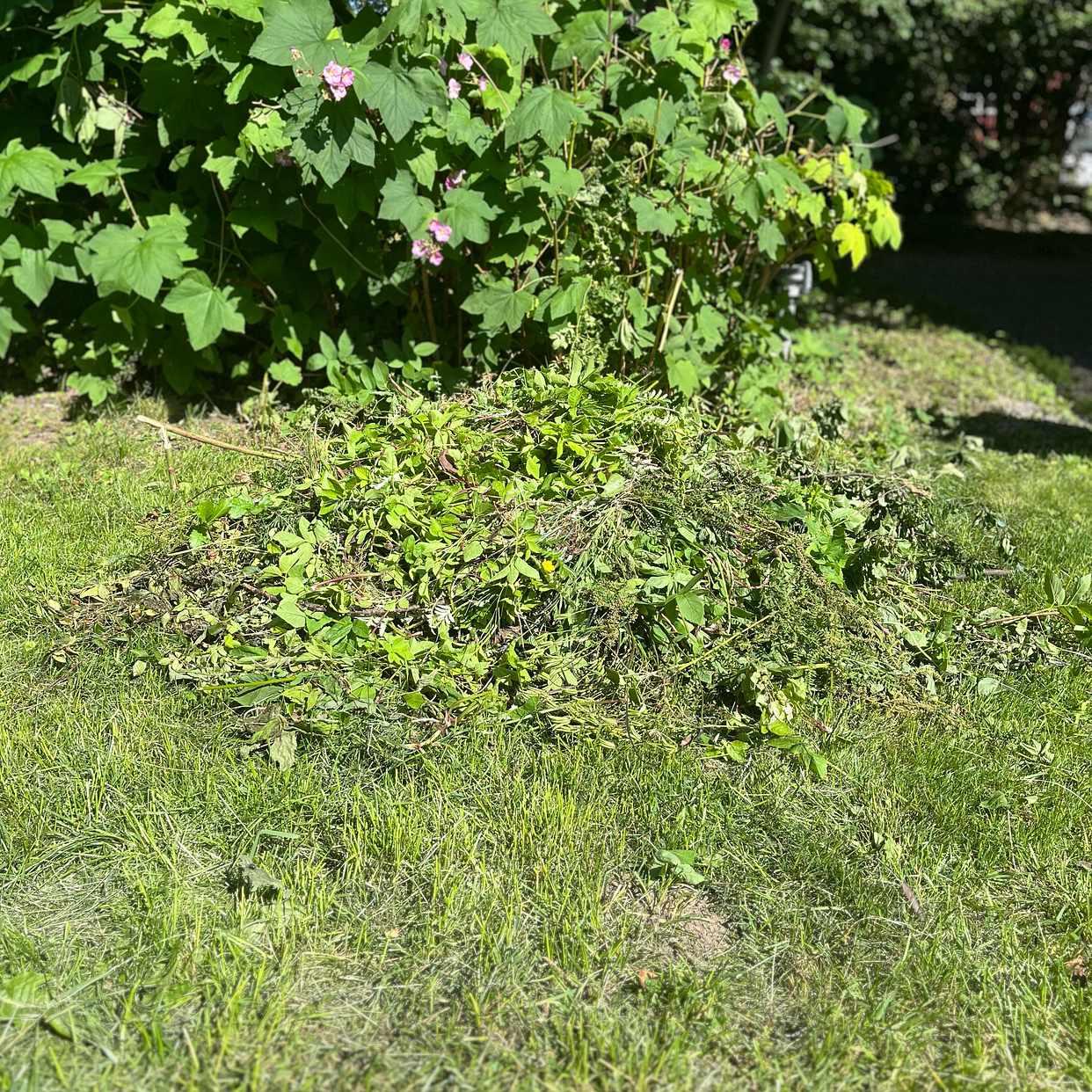 image of Trädgårdsavfall - Täby