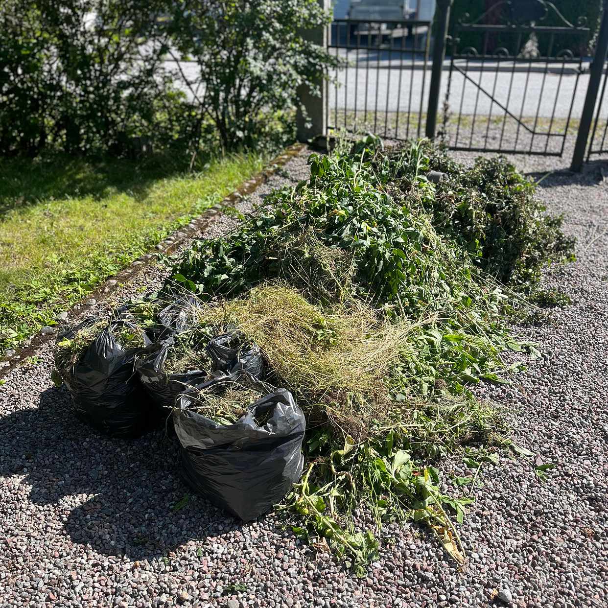 image of Trädgårdsavfall - Täby