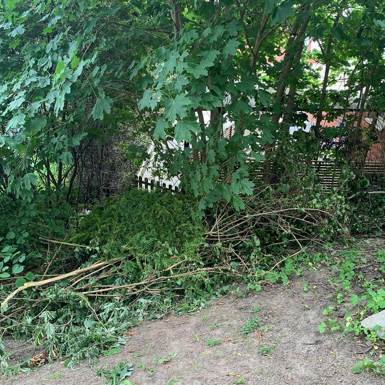 image of Slänga stora grenar - Göteborg