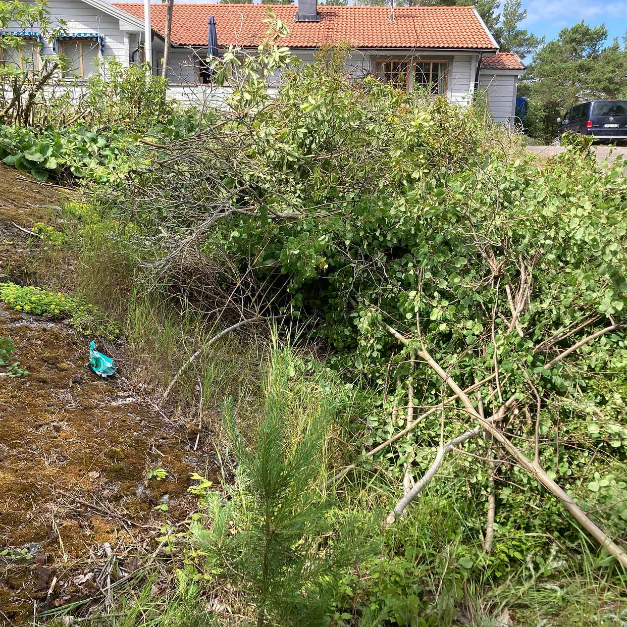 image of Ris - Djurö